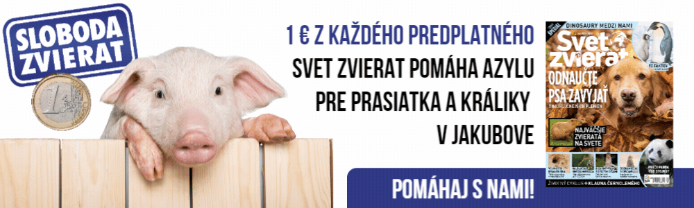 Sloboda zvierat a Svet zvierat pomáhajú